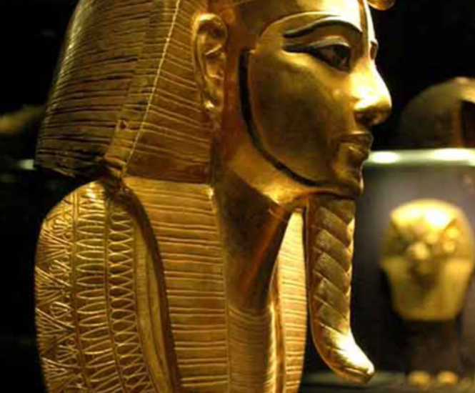 Professional Support